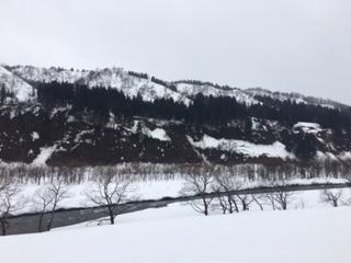 IMG_4220.jpg