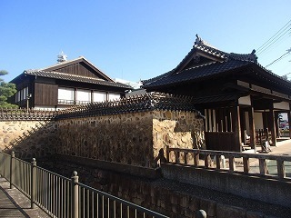 P8290295.jpg