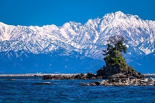 pixta_64607909_M.jpg
